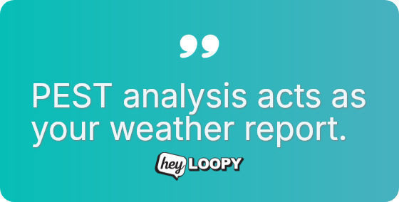 PEST analysis acts as your weather report.