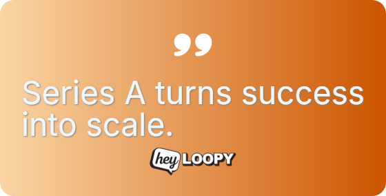 Seed rounds explore series rounds execute.