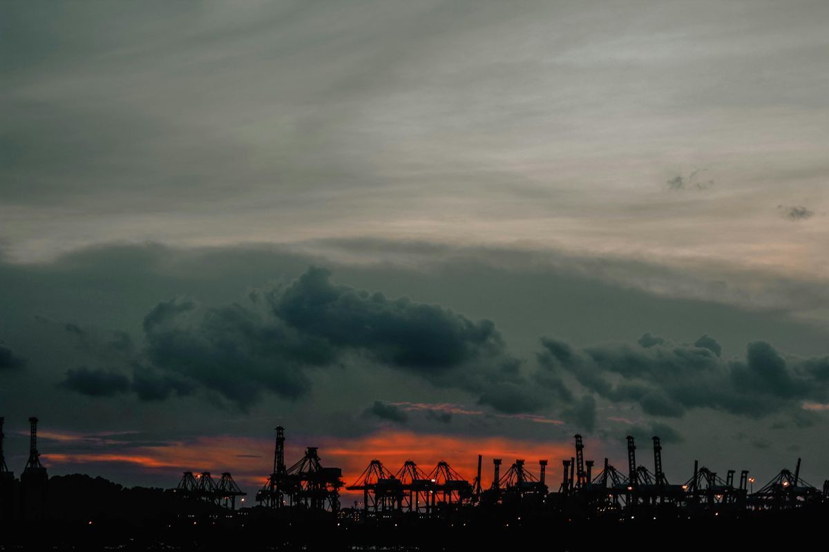 What is White Labeling in the Context of Learning Management Systems?